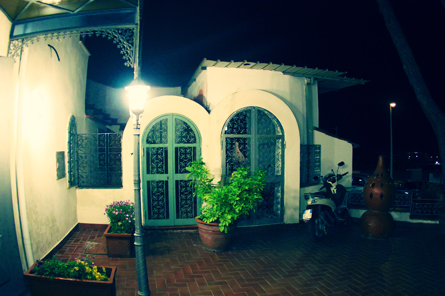 Photography